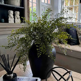 Maidenhair Fern in a Black Terracotta Pot