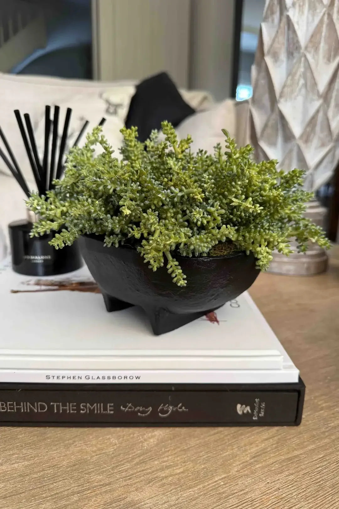 Mini Plant in a Black Footed Bowl