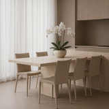 Othello Dining Chair - (Set of 2) - Cream