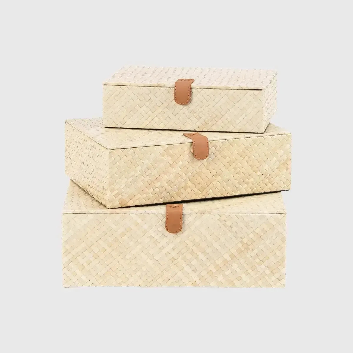 Palm Natural Set of 3 boxes