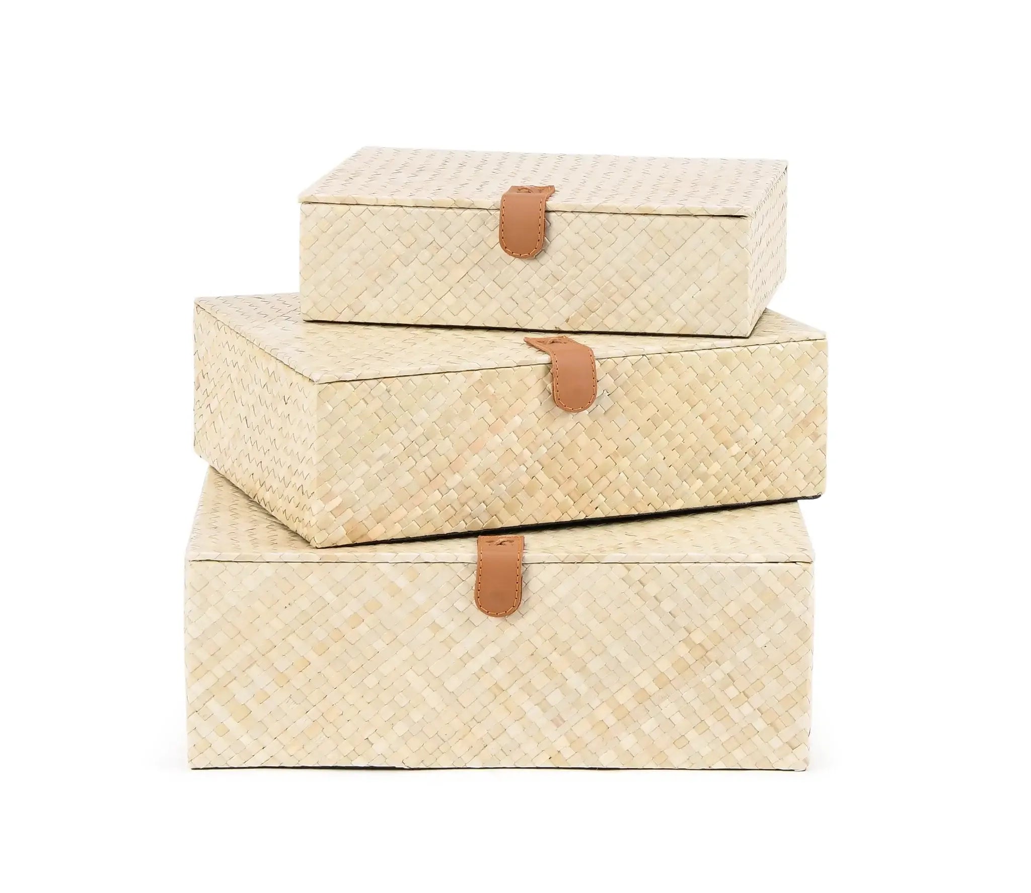 Palm Natural Set of 3 boxes