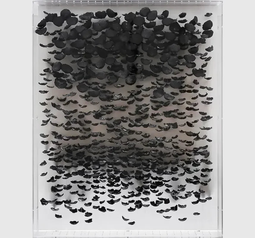 Paper Petal Black 3D art
