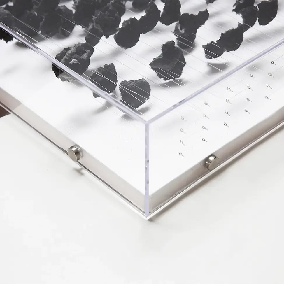 Paper Petal Black 3D art