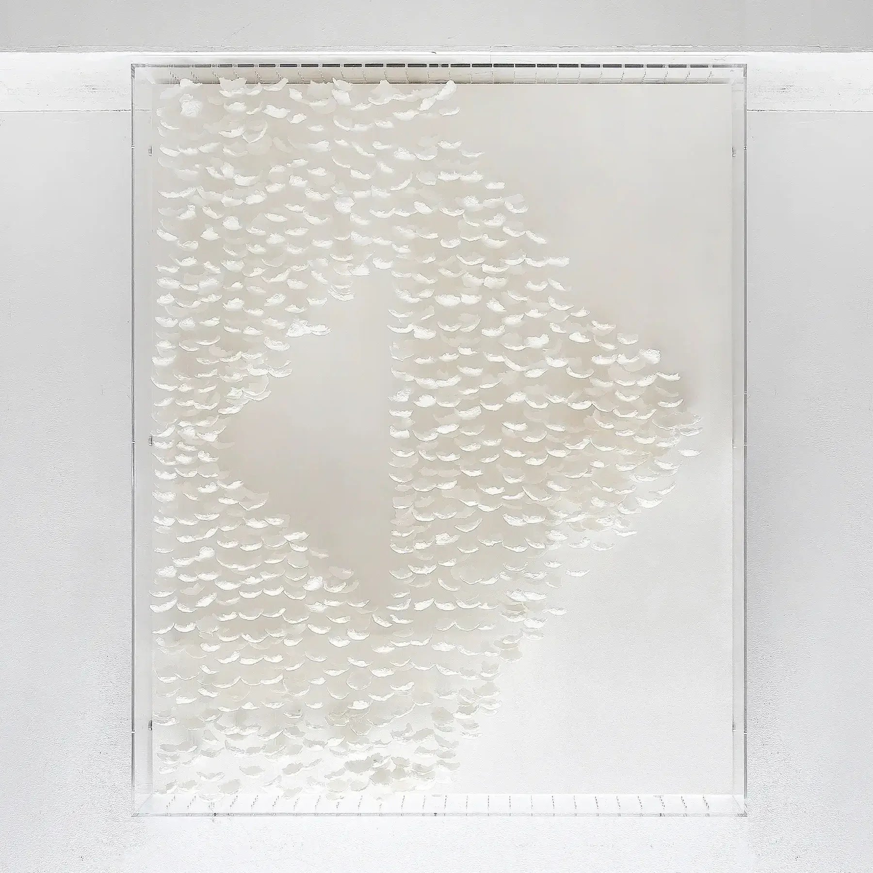 Paper Petals 3D Art – 3
