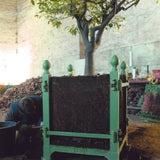 Removing side panels for root access — Caisse de Versailles horticultural design