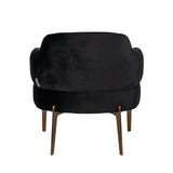 Venus Antraciet Velvet Armchair with Brushed Gold Legs by Richmond Interiors