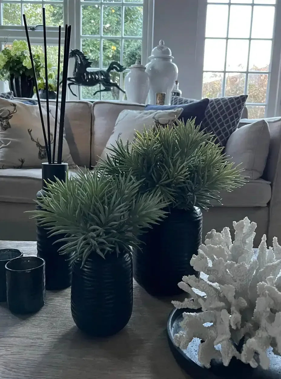 Spiky Succulents in a Carved Glass Vase