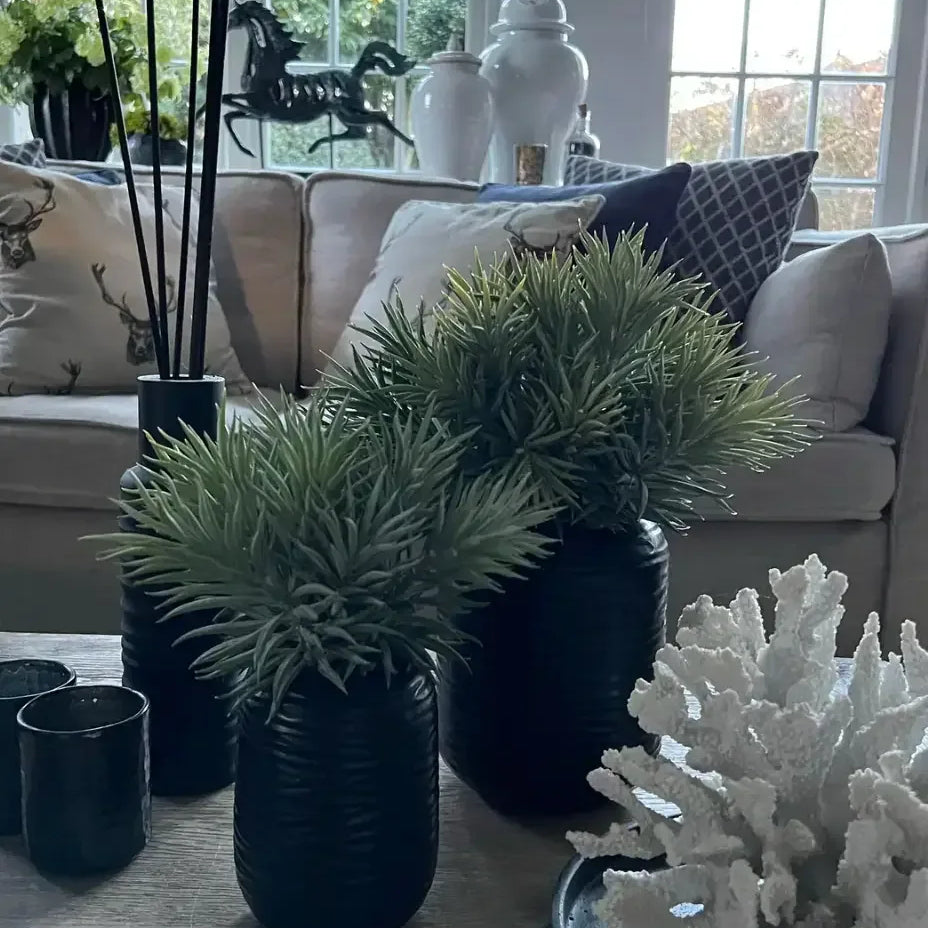 Spiky Succulents in a Carved Glass Vase