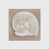 Spiral of Time Handmade Dimensional Paper Wall Art