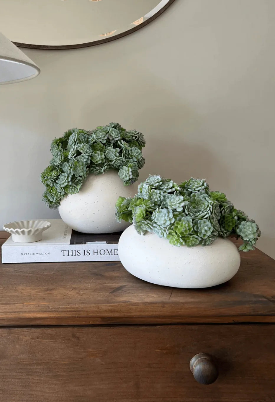 Succulent Bush in a Matt Cream Vase