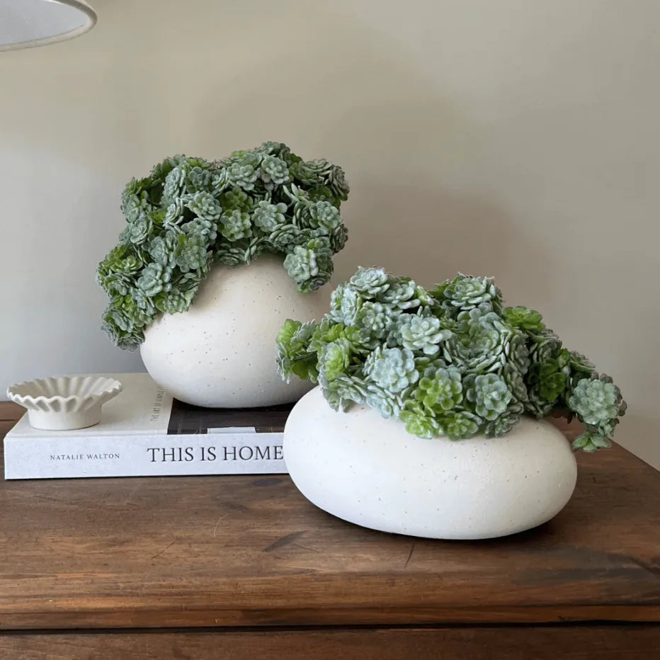 Succulent Bush in a Matt Cream Vase