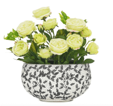 Terracotta Pot Plain Neck