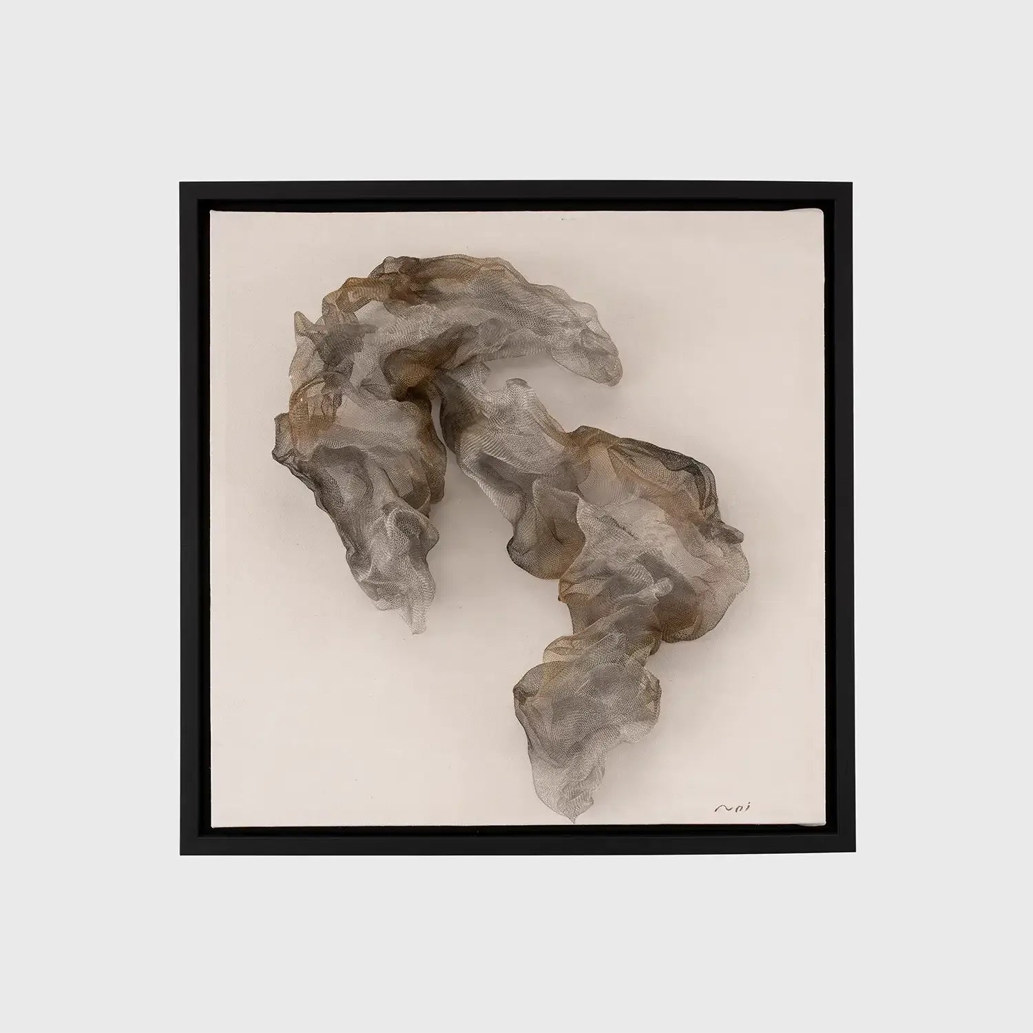 Veil of Shadows Wall Art
