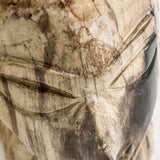 Belle Petrified Wood Bust - Maison Rêves UK