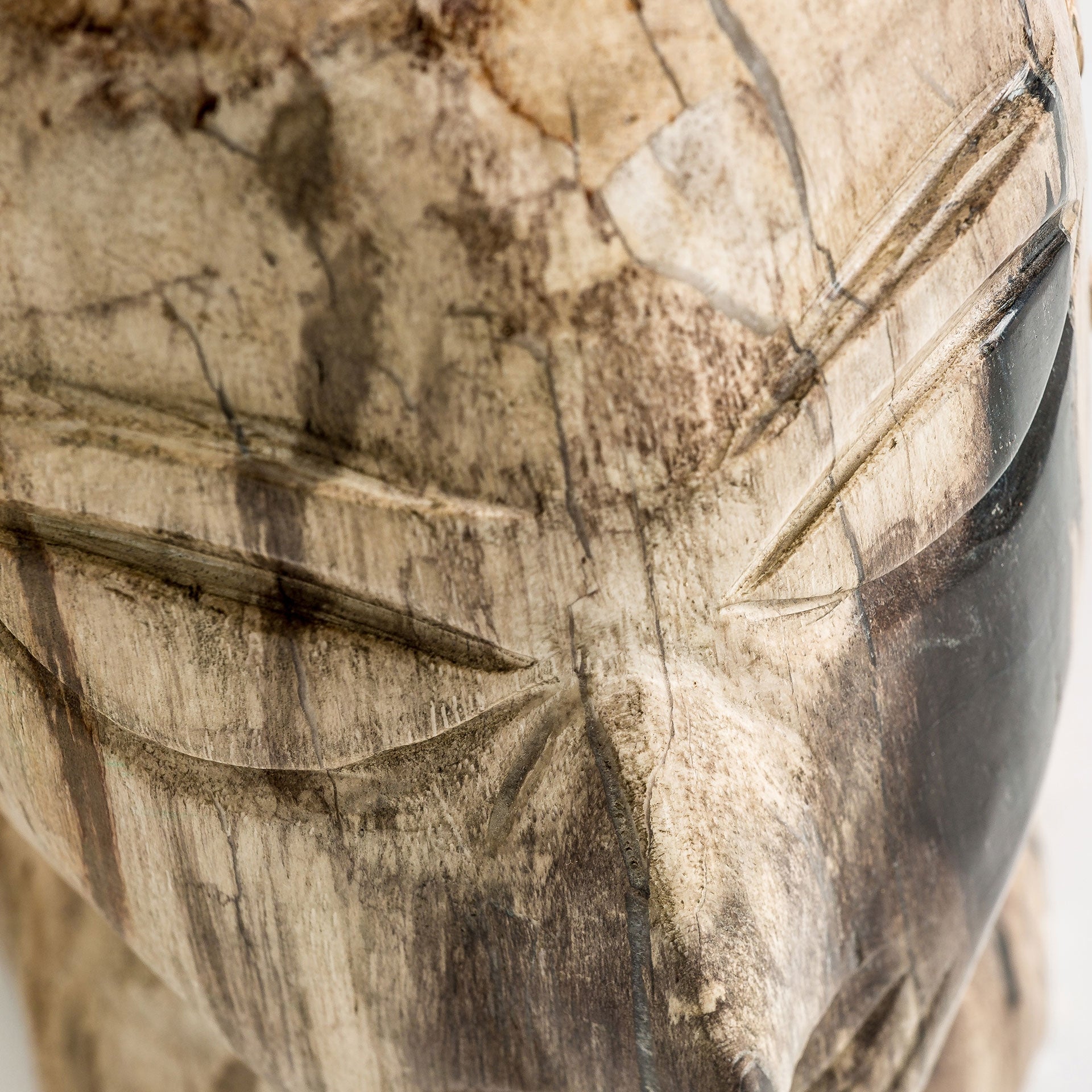 Belle Petrified Wood Bust - Maison Rêves UK