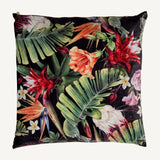 Anieli Velvet Cushion - Maison Rêves UK