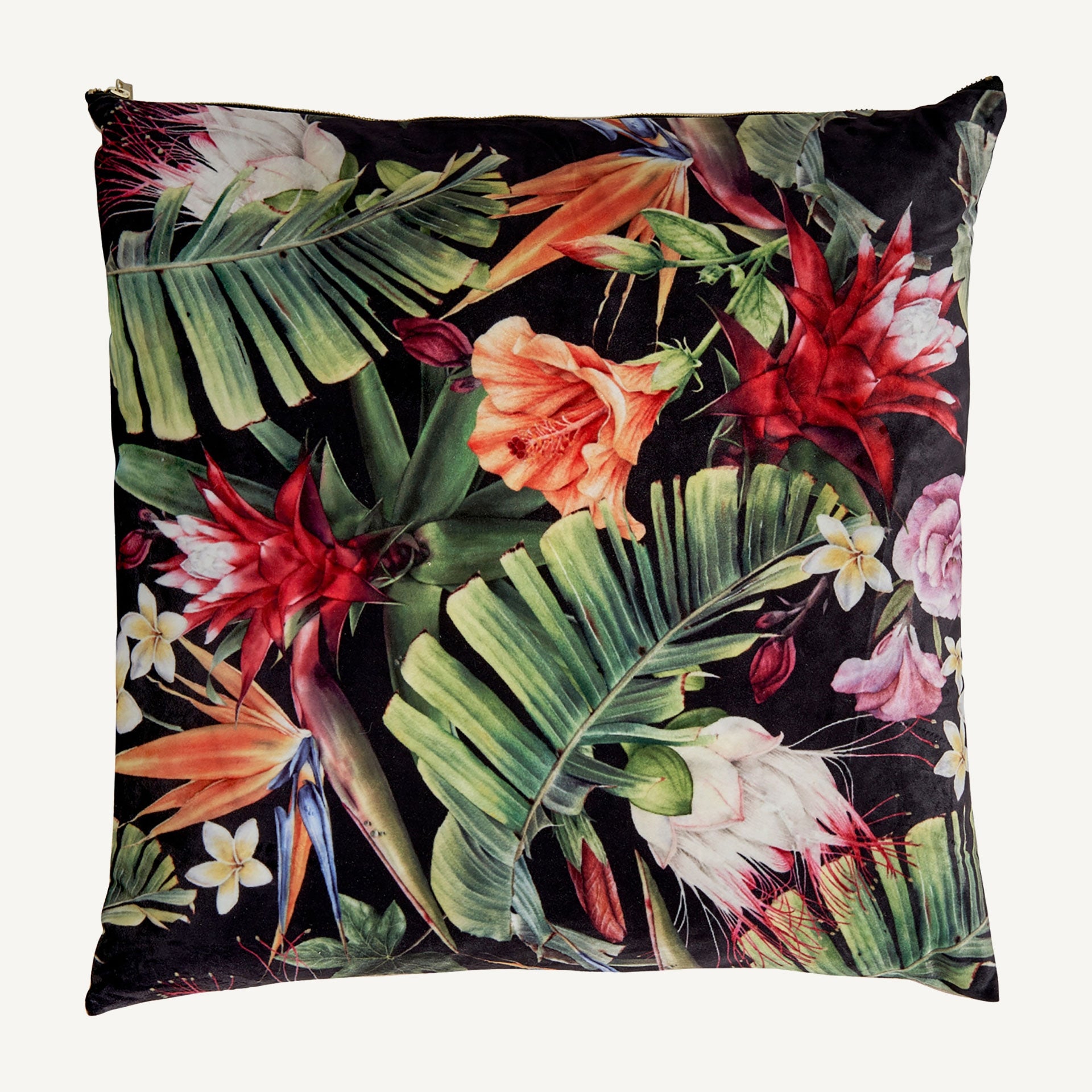 Anieli Velvet Cushion - Maison Rêves UK