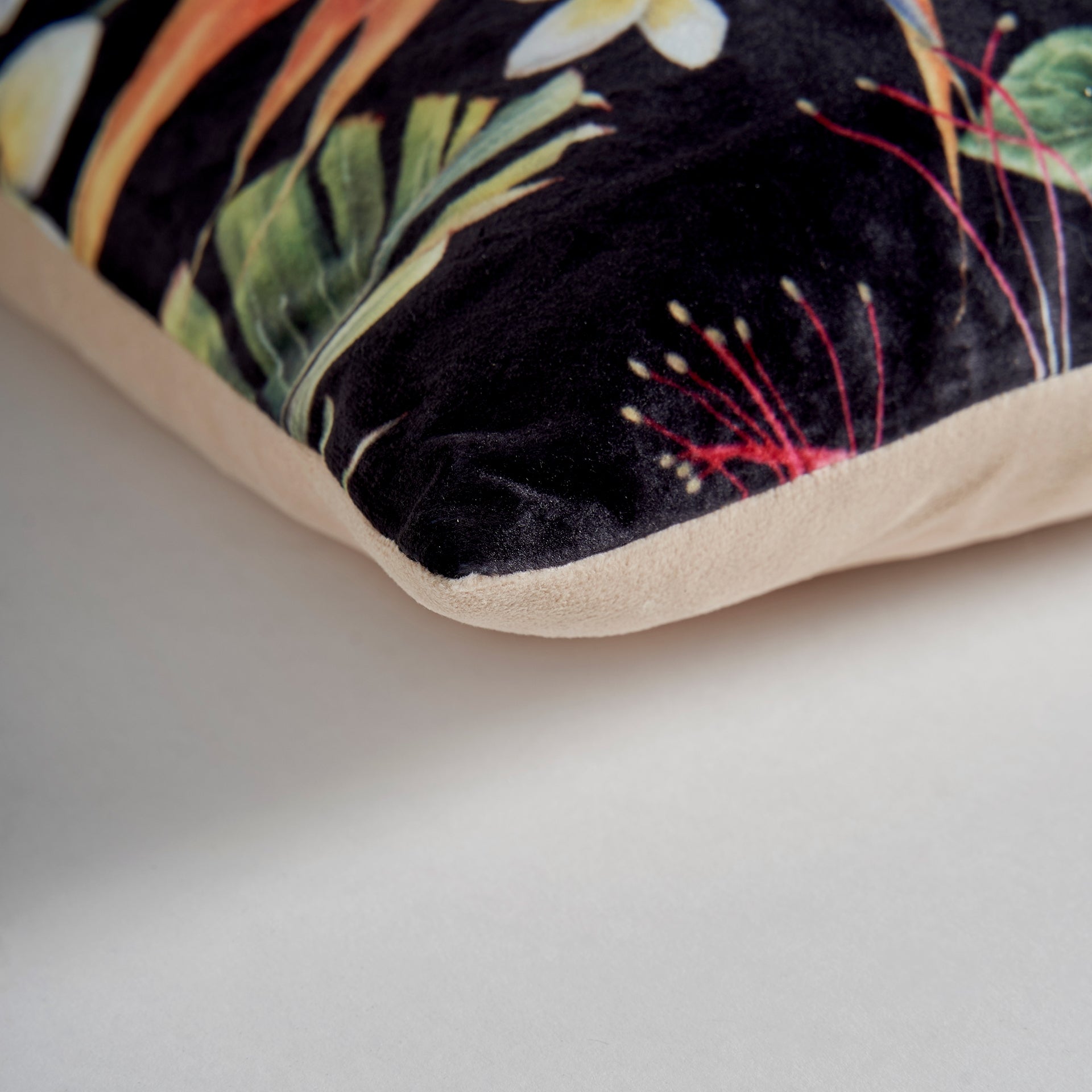 Anieli Velvet Cushion - Maison Rêves UK