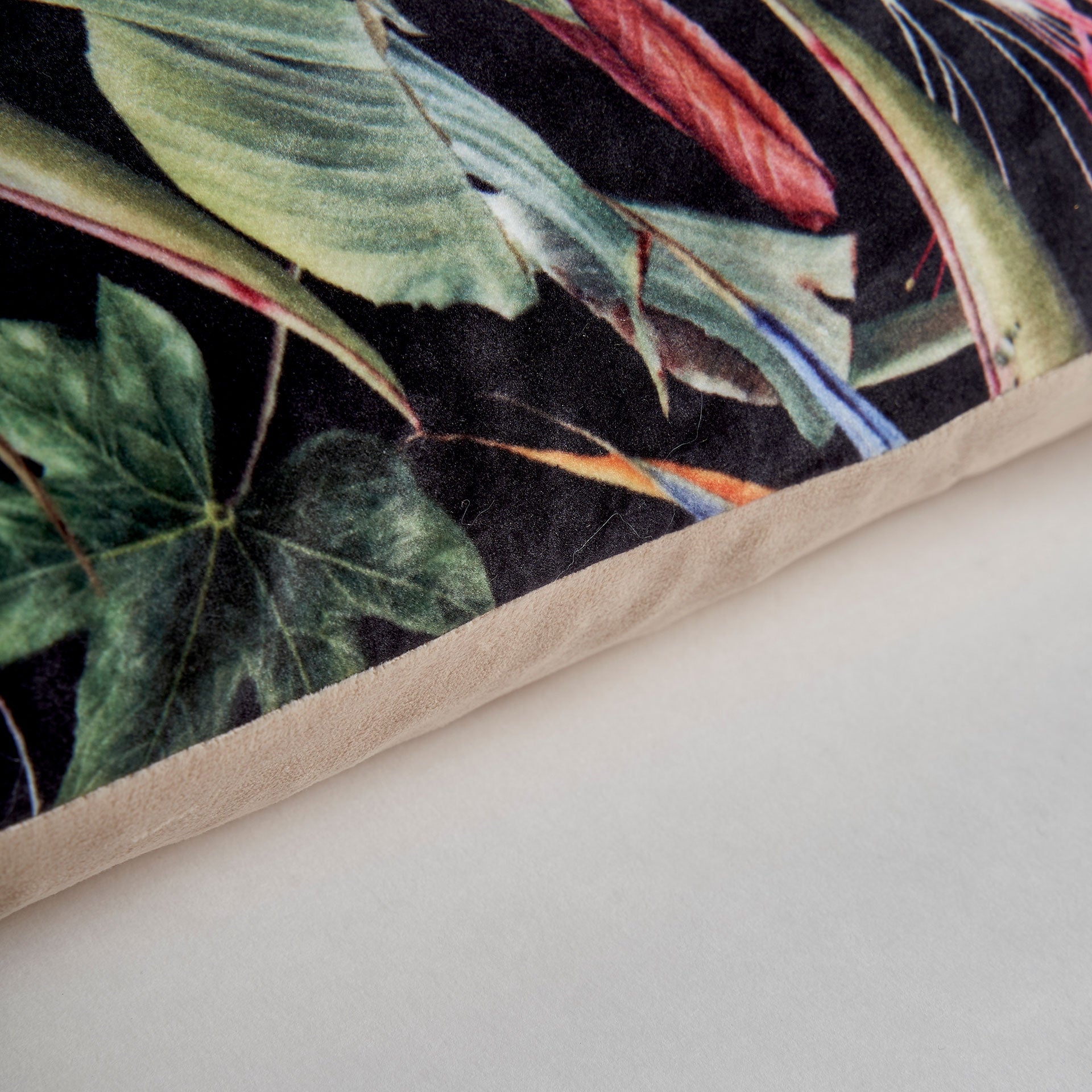Anieli Velvet Cushion - Maison Rêves UK