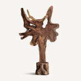 Peack Suar Wood Sculpture - Maison Rêves UK