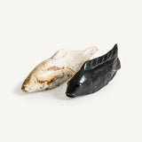 Pez Petrified Wood Decorative Figure - 11cm - Maison Rêves UK