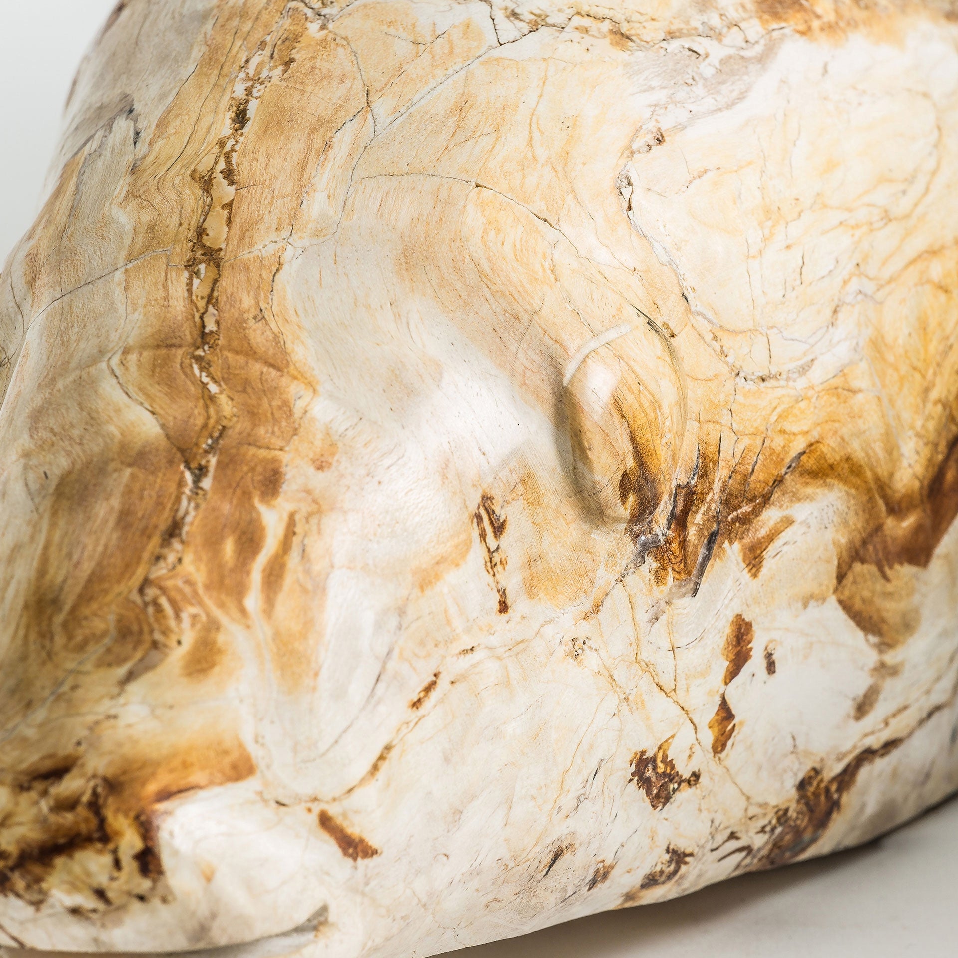 Pez Petrified Wood Decorative Figure - 11cm - Maison Rêves UK