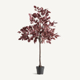 Haya Dark Plant - Maison Rêves UK