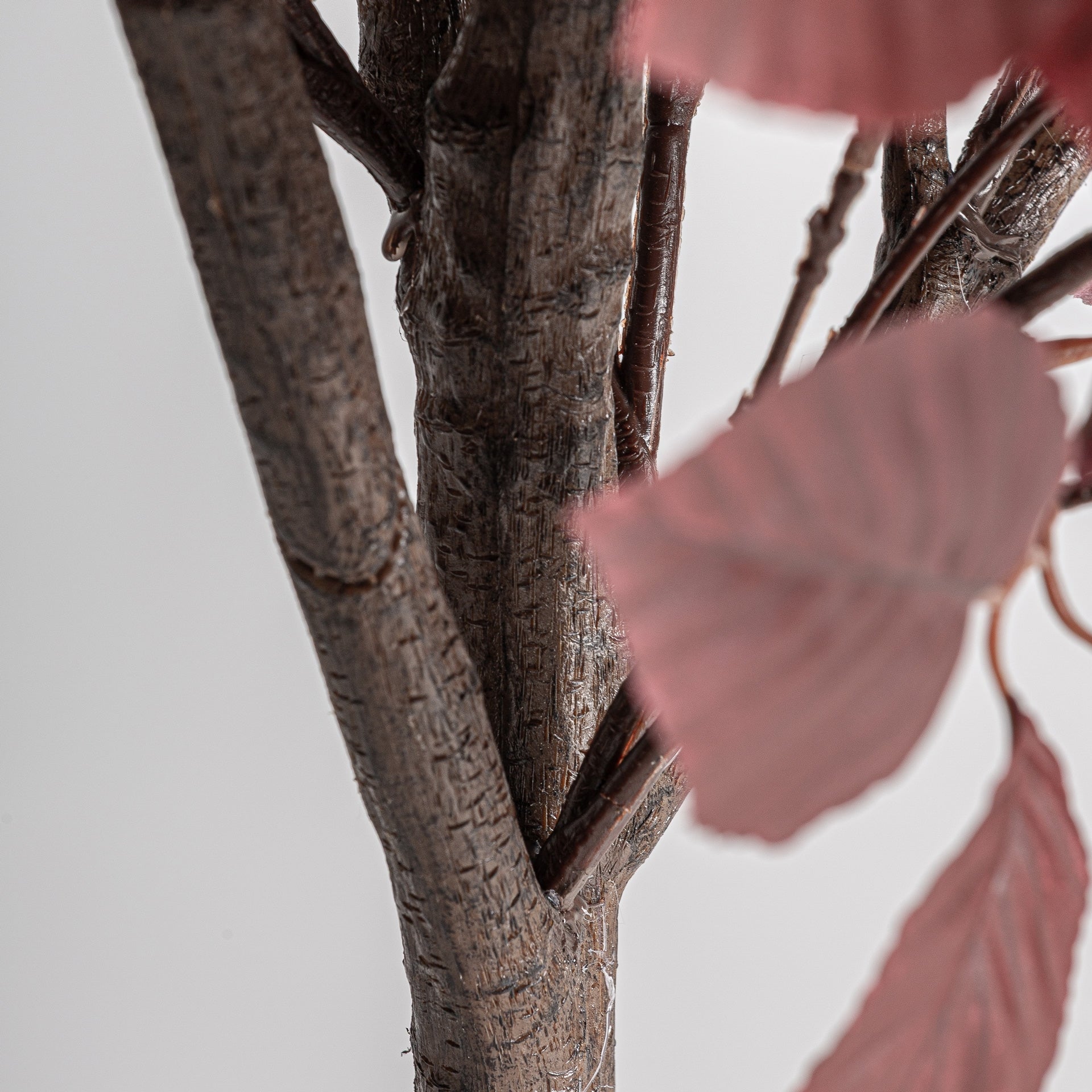 Haya Dark Plant - Maison Rêves UK
