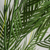 Helecho Green Plant - Maison Rêves UK
