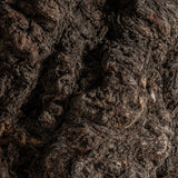 Olivo Wood Plant - Maison Rêves UK