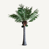 Palmera Green Plant - Maison Rêves UK