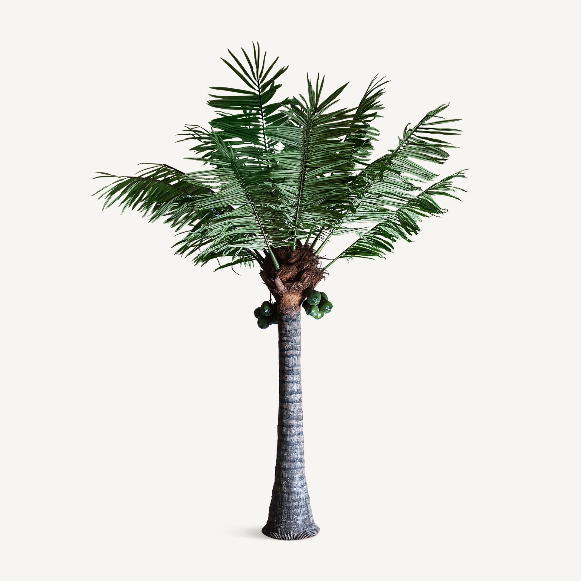 Palmera Green Plant - Maison Rêves UK