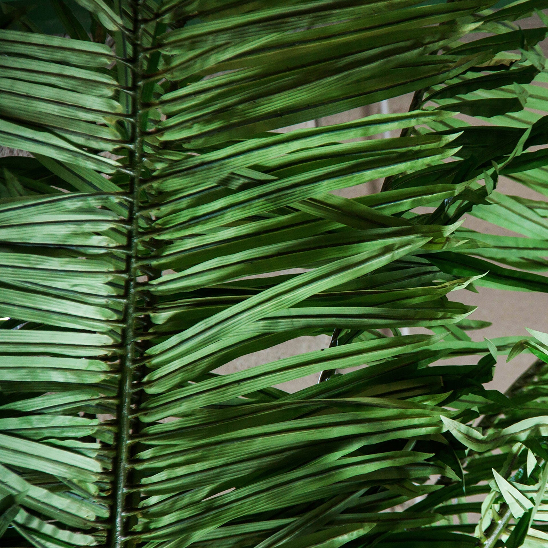 Palmera Green Plant - Maison Rêves UK