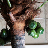 Palmera Green Plant - Maison Rêves UK