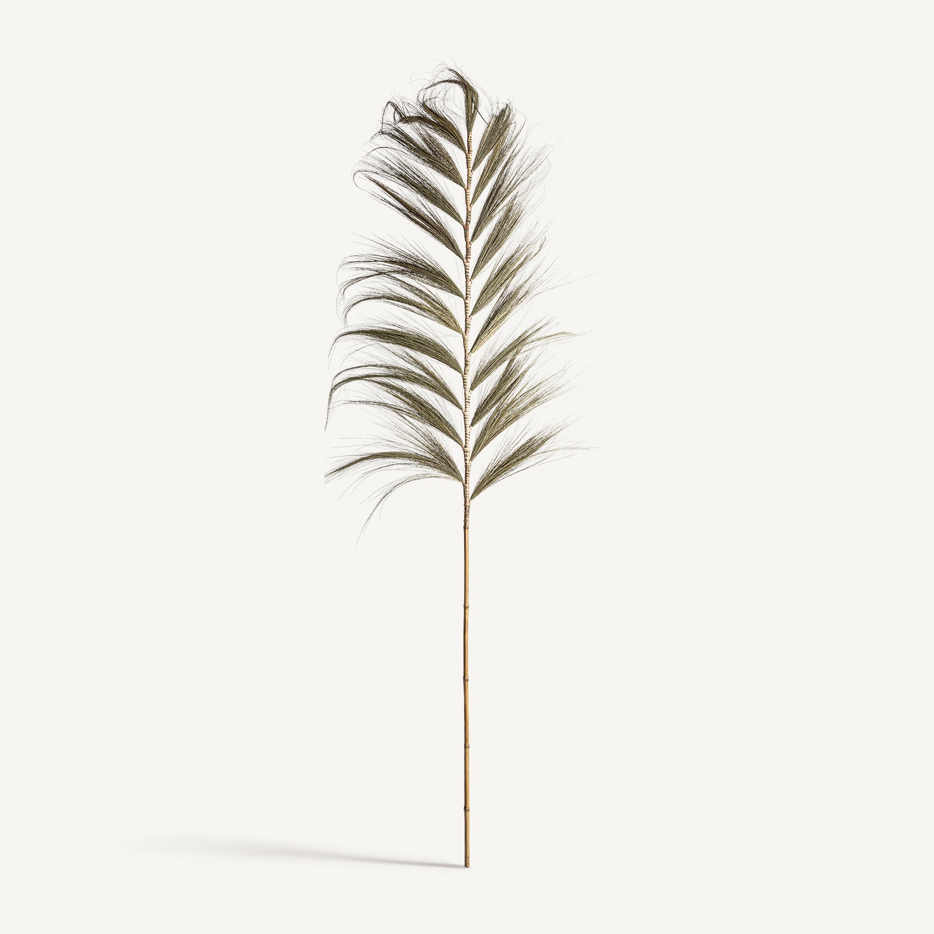 Natural Fibre Decorative Branch (Set of 6) - Maison Rêves UK