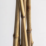 Raffia Decorative Branch (Set of 6) - Maison Rêves UK