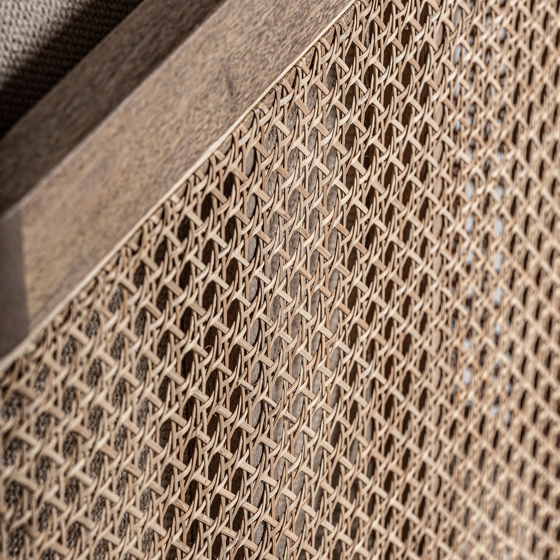 Cismar Birch Wood Armchair - Maison Rêves UK