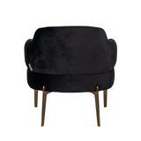 Venus Antraciet Velvet Armchair with Brushed Gold Legs by Richmond Interiors - Maison Rêves UK