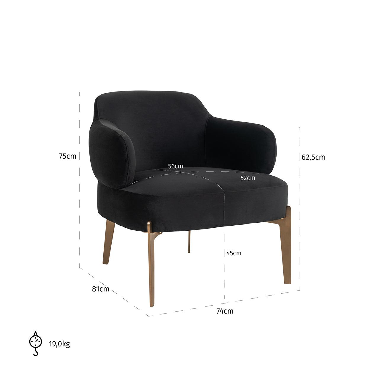 Venus Antraciet Velvet Armchair with Brushed Gold Legs by Richmond Interiors - Maison Rêves UK