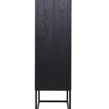 Blax 2 Door Black Wood Cabinet with Black Iron Base by Richmond Interiors