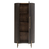 Luxor Single Door Brown Wood Cabinet with Brushed Gold Frame by Richmond Interiors