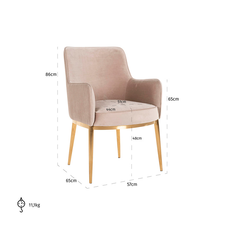 Breeze Velvet Dining Chair with Brushed Gold Legs by Richmond Interiors