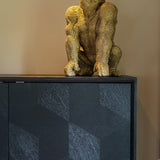 Blax 2 Door Black Wood Cabinet with Black Iron Base by Richmond Interiors - Maison Rêves UK