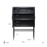 Mendoza 2 Door Mango Wood Cabinet with Black Iron Frame by Richmond Interiors - Maison Rêves UK