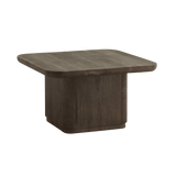 Toke Stained Brown Mango Wood Coffee Table by Nordal - Maison Rêves UK