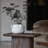 Toke Stained Brown Mango Wood Coffee Table by Nordal - Maison Rêves UK