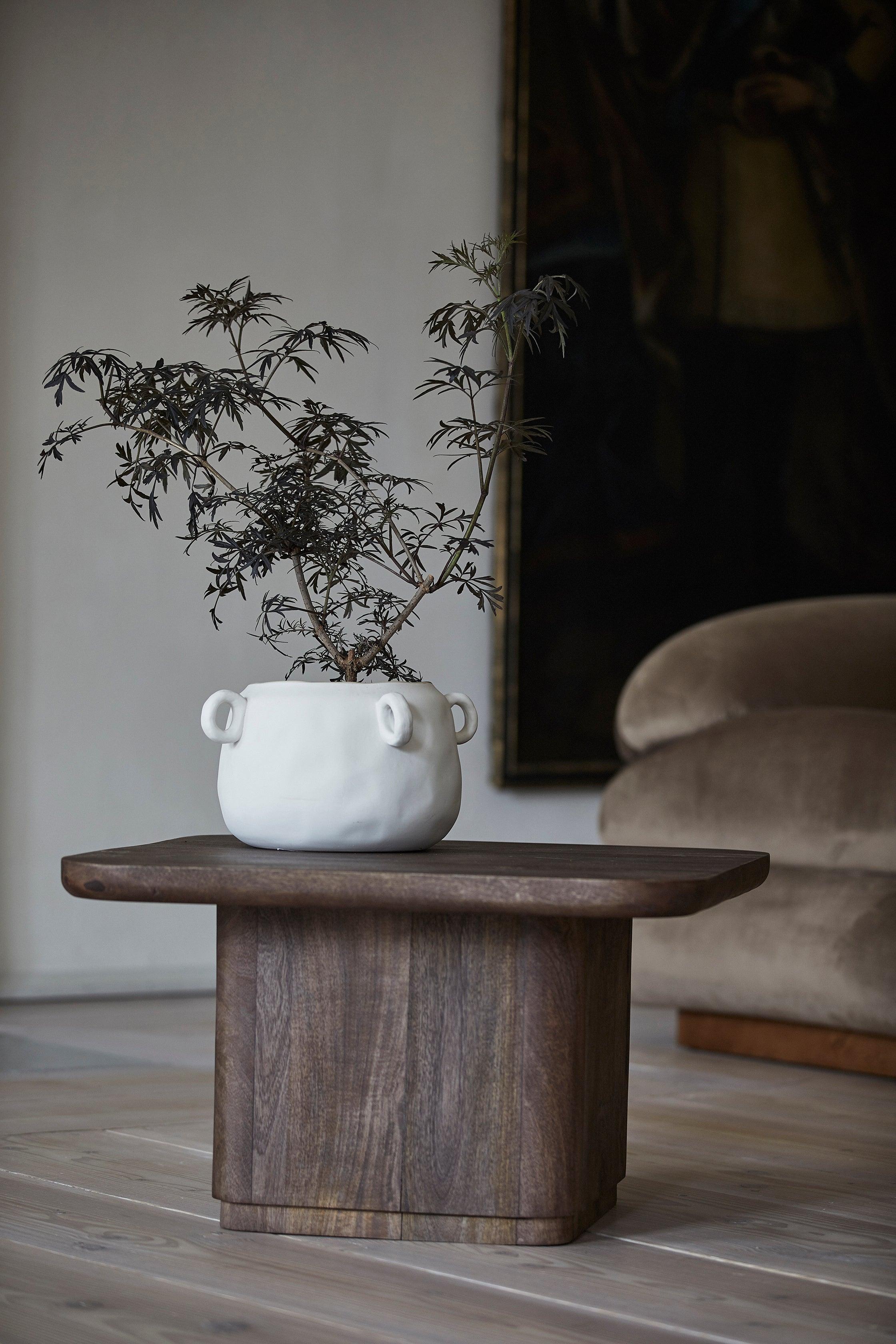 Toke Stained Brown Mango Wood Coffee Table by Nordal - Maison Rêves UK