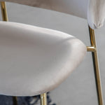 Velvadora Dining Chair Taupe with Gold Iron Legs (2pk) - Maison Rêves UK